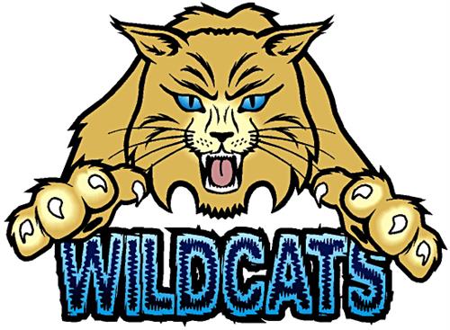 Wildcat