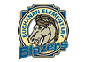 Buchanan logo