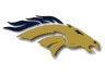 Bronco Logo 